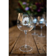 Load image into Gallery viewer, Mikasa Julie Gin Glasses Set of 4