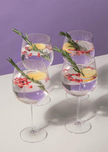 Load image into Gallery viewer, Mikasa Julie Gin Glasses Set of 4