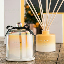Load image into Gallery viewer, Galway Living Verbena and Patchouli Cloche Candle
