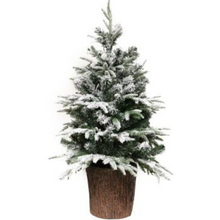 Load image into Gallery viewer, Christmas Tree 110cm LED Pre Lit Potted Park Lane

