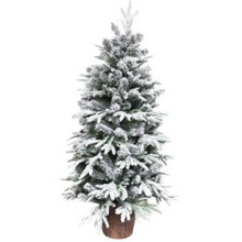 Load image into Gallery viewer, Christmas Tree 150cm LED Pre Lit Potted Park Lane
