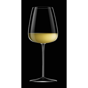 Luigi Bormioli Talismano White Wine Glasses Set of 4