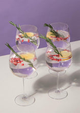 Load image into Gallery viewer, Mikasa Julie Gin Glasses Set of 4
