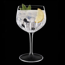 Load image into Gallery viewer, Luigi Bormioli Mixology Spanish Gin Glass Set of 4
