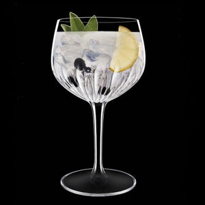 Luigi Bormioli Mixology Spanish Gin Glass Set of 4